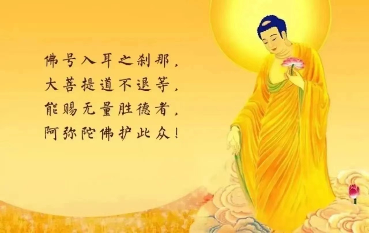 佛缘放生网