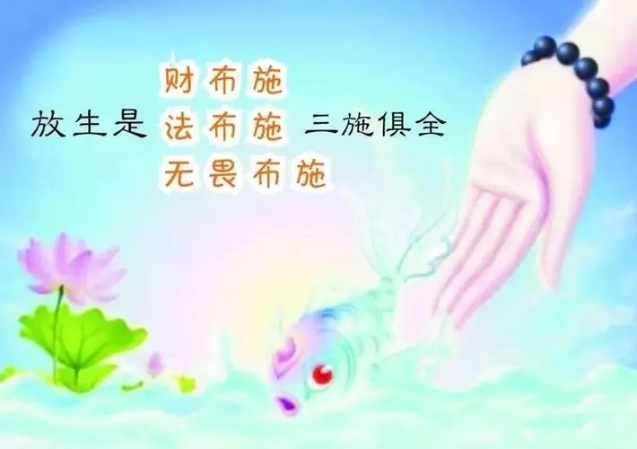 首页右侧广告