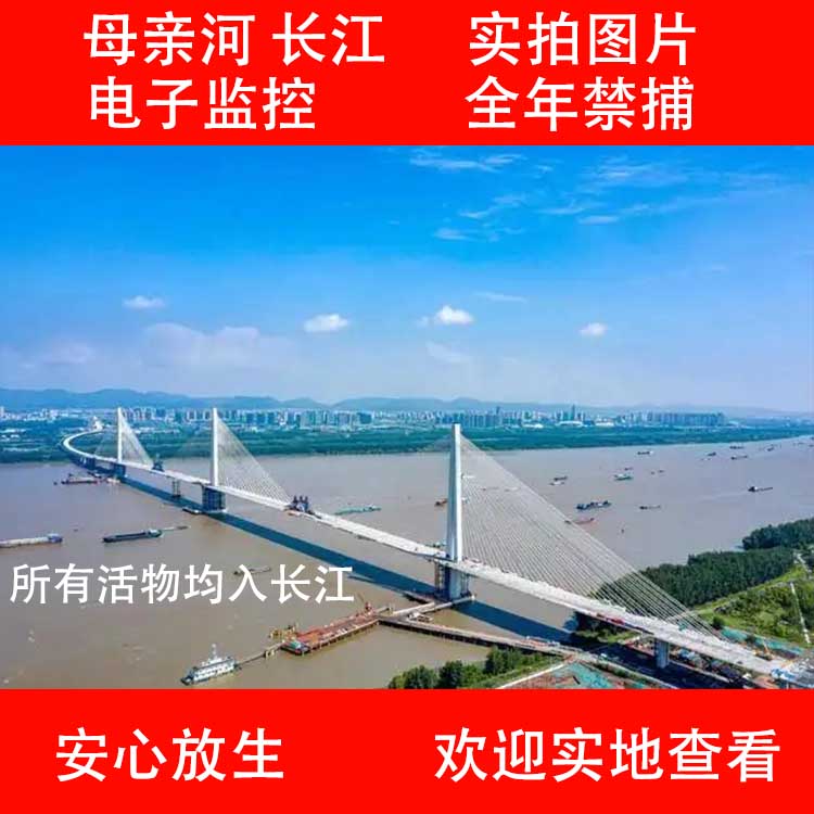 长江.jpg